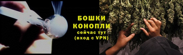 сатива Балахна