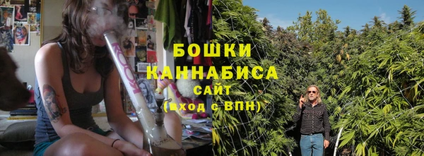 сатива Балахна