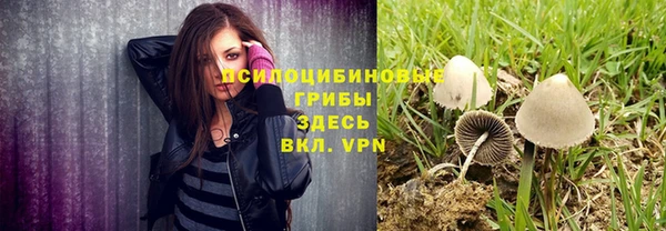 сатива Балахна