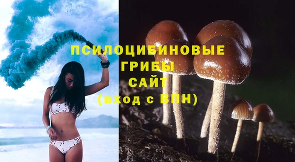 сатива Балахна