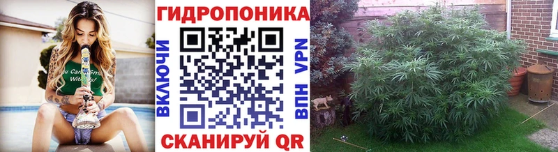Канабис план Заозёрный